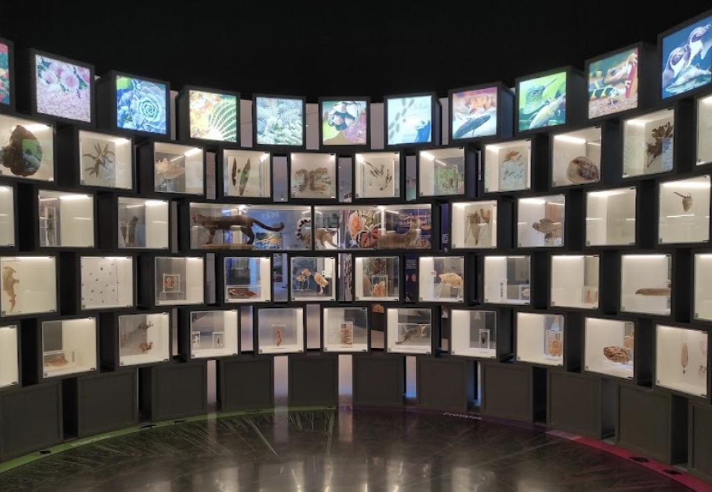 Pabellón Nacional de la Biodiversidad. Museo interactivo y espacio de investigación-3