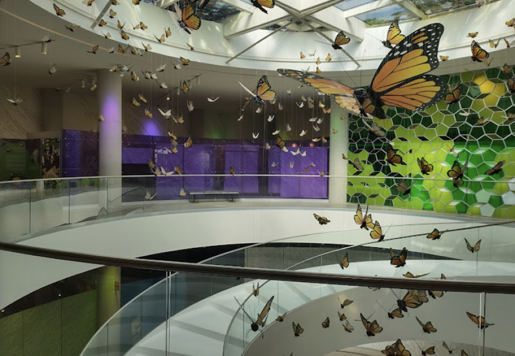 Pabellón Nacional de la Biodiversidad. Museo interactivo y espacio de investigación-1