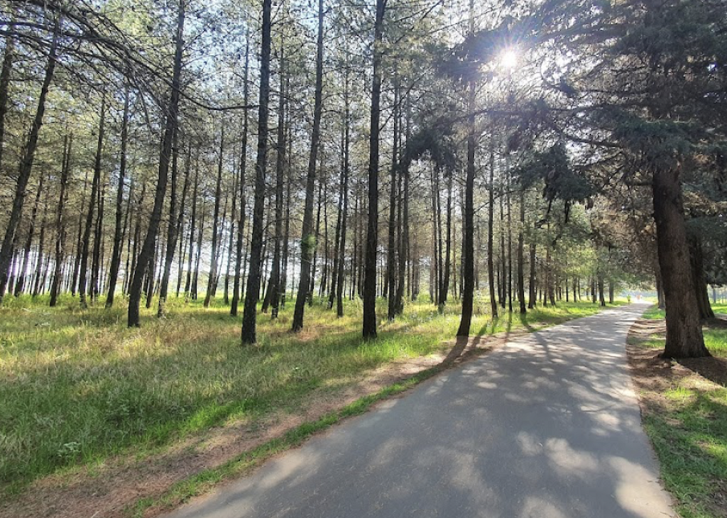 Parque Ambiental Bicentenario-0