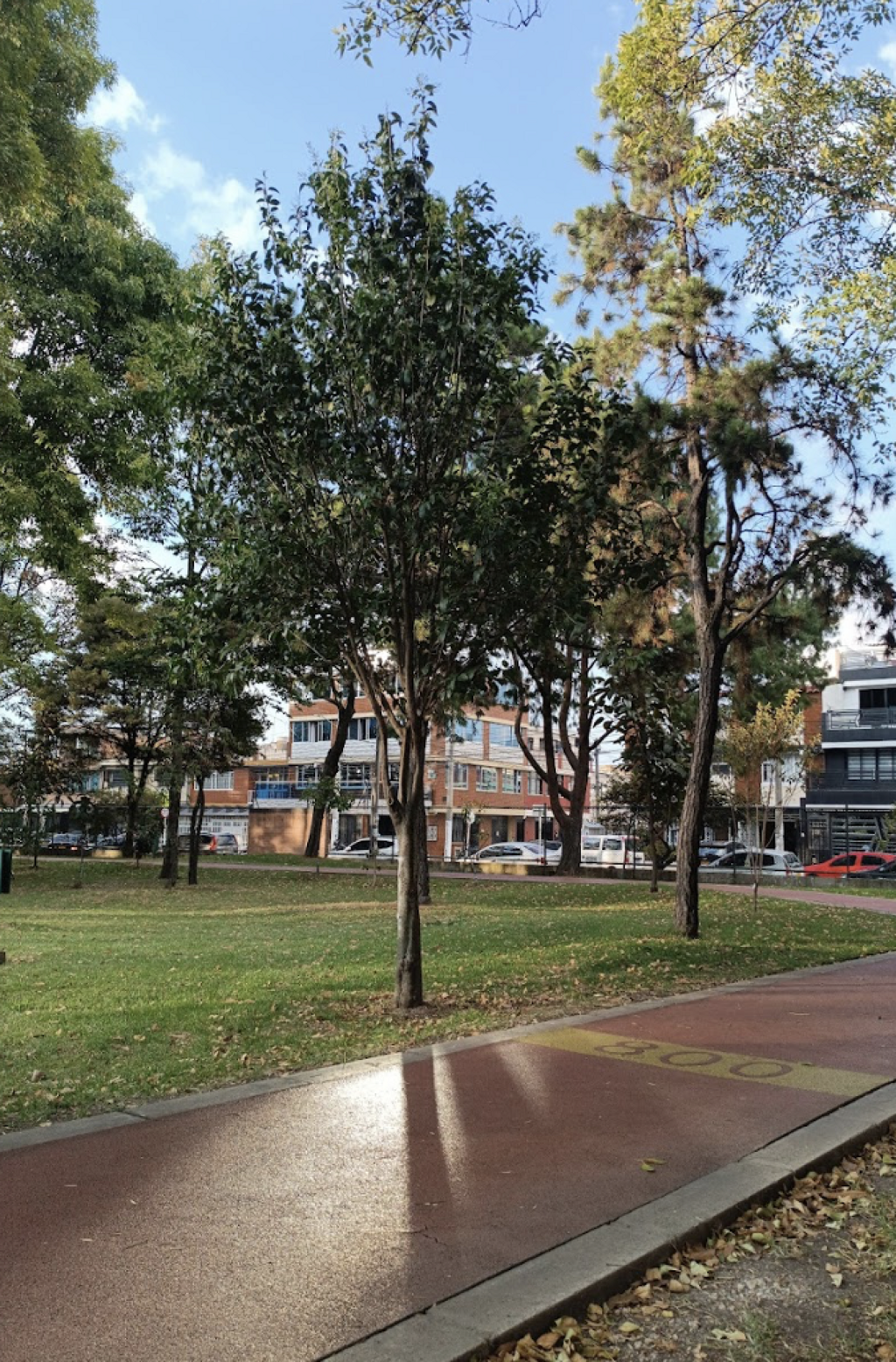 Parque Ciudad Montes-0