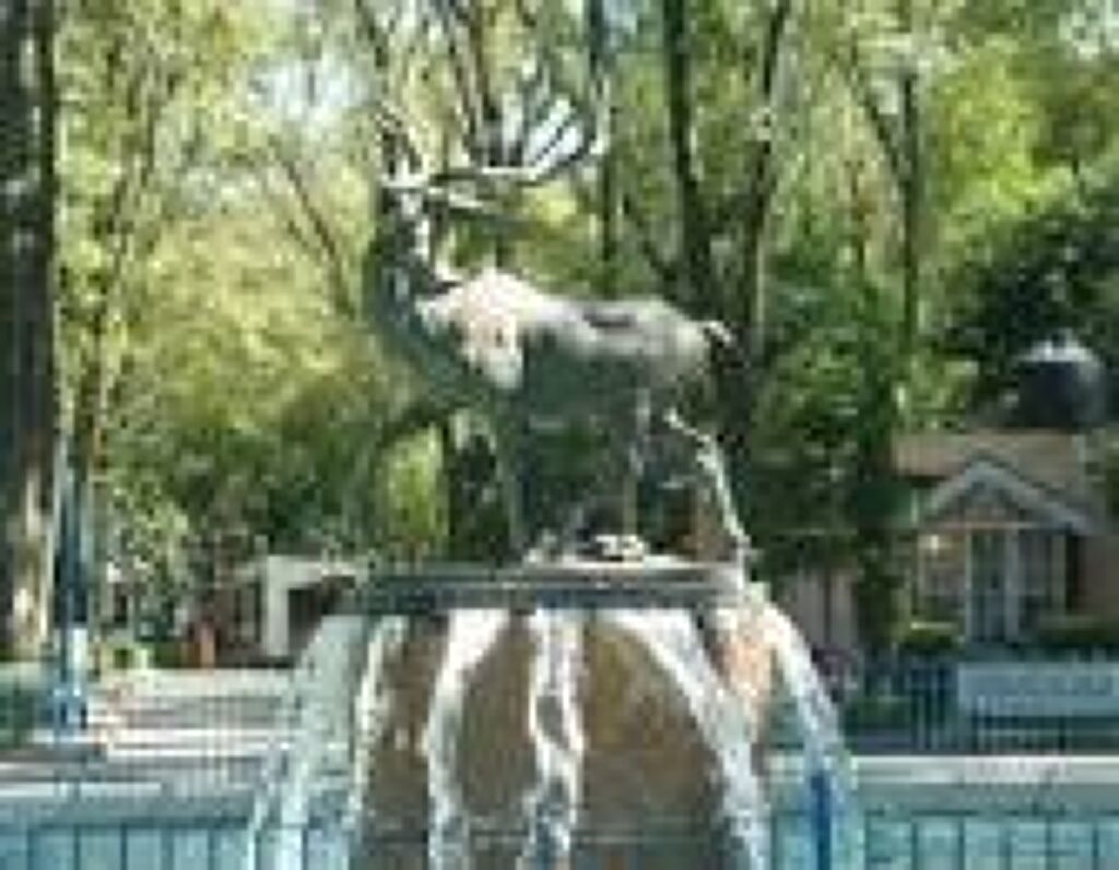 Parque de los Venados-2