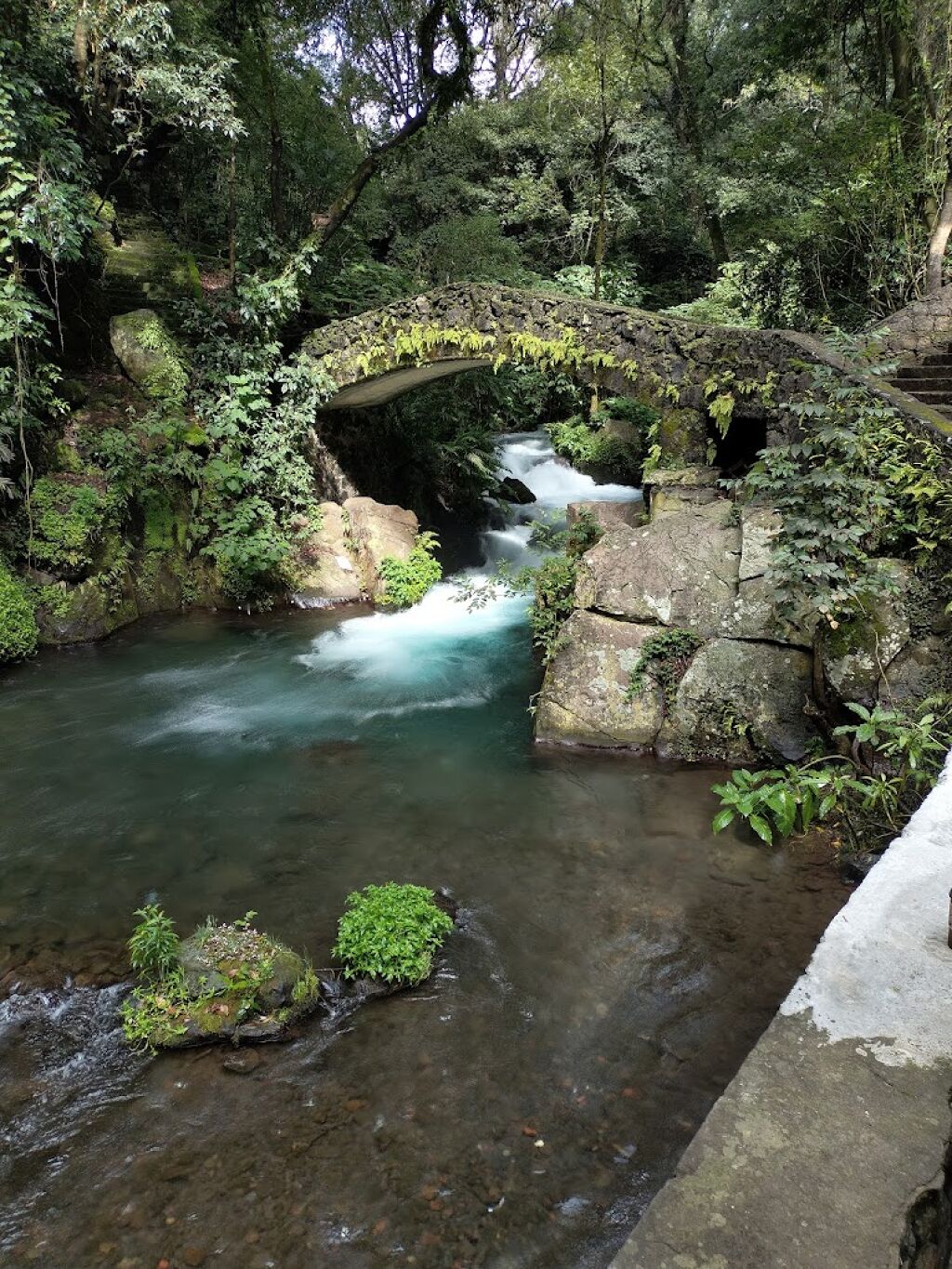 Parque Nacional Barranca del Cupatitzio-1
