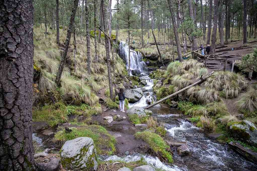 Parque Ecológico Apatlaco-1