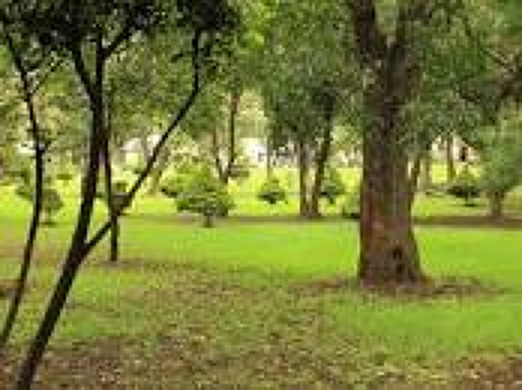 Parque Ecológico Loreto y Peña Pobre-1