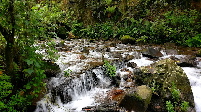 Parque Dos Aguas-3