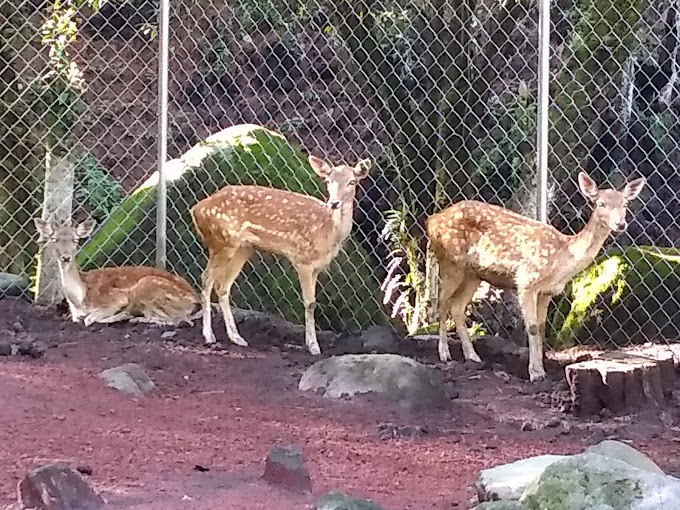 Parque Dos Aguas-1