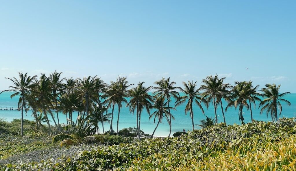 Parque Nacional Costa Occidental-0