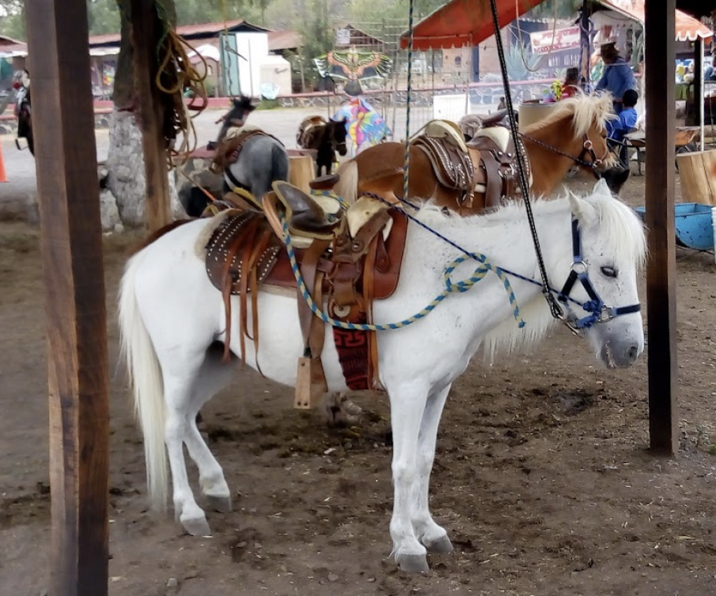Parque Recreativo Aculco-1