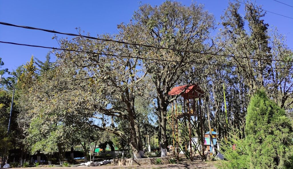 Parque Recreativo Cerro de los Gallos-2