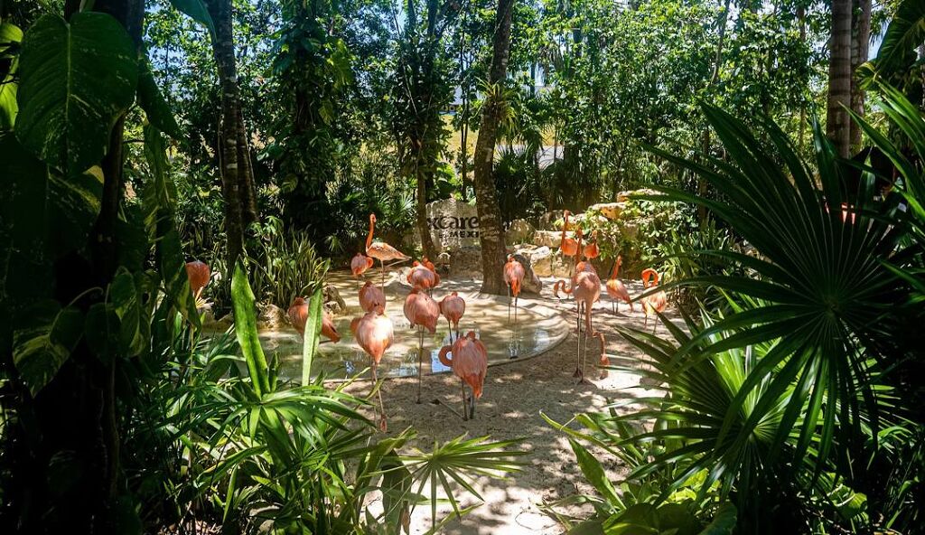 Parque Xcaret-2