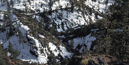 Parque Nacional Sierra de San Pedro Mártir-0