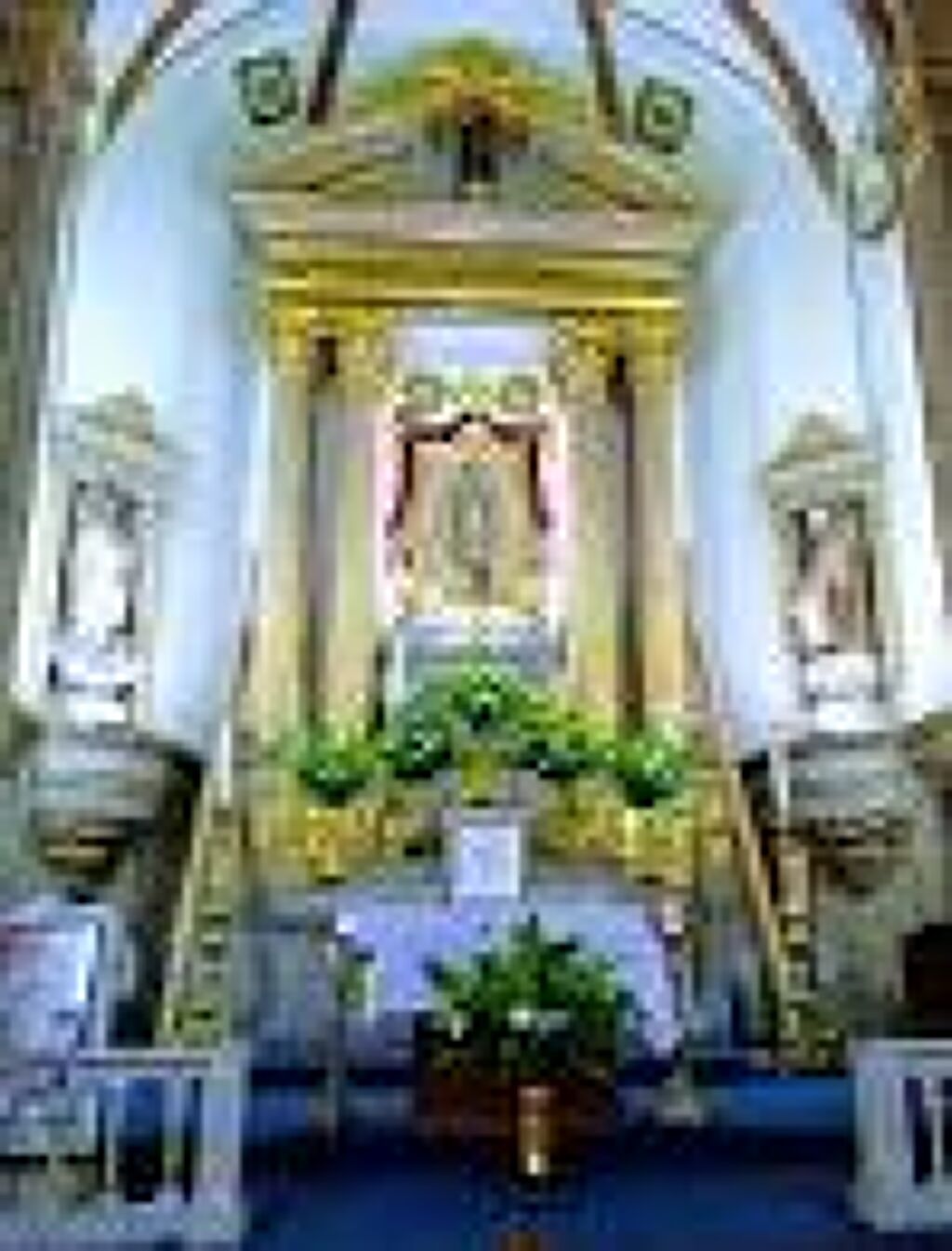Parroquia de San Juan Evangelista y Santa María de Guadalupe-1