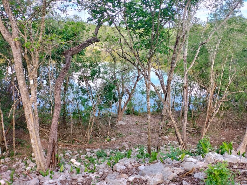 Parque Oxwatz-1