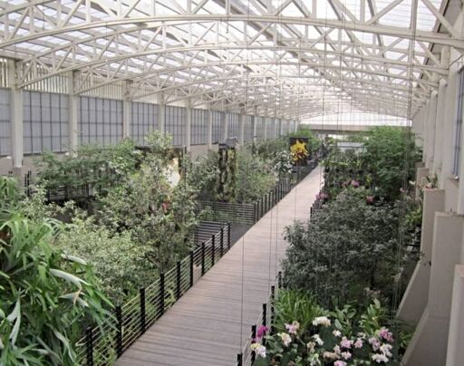 Parque Bicentenario-0