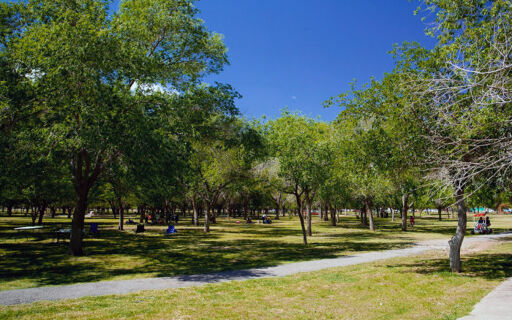 Parque El Chamizal-0