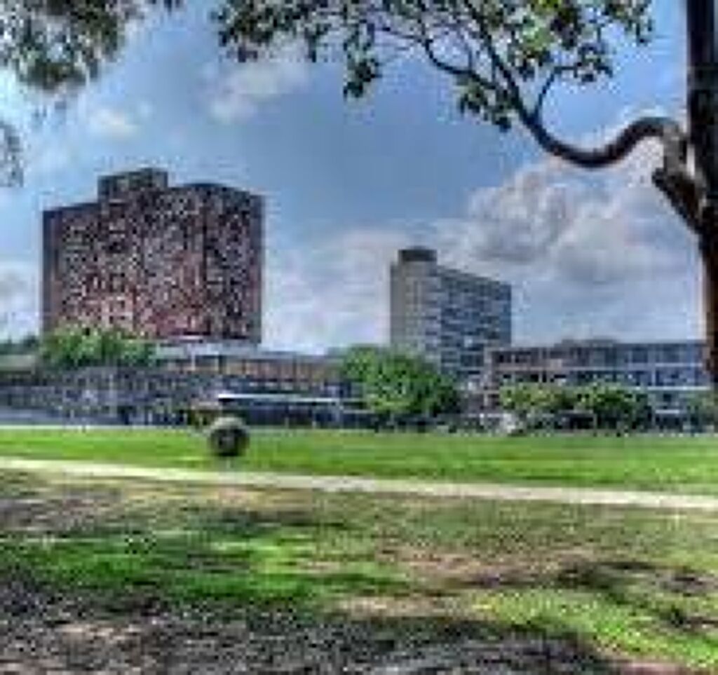 Ciudad Universitaria-2