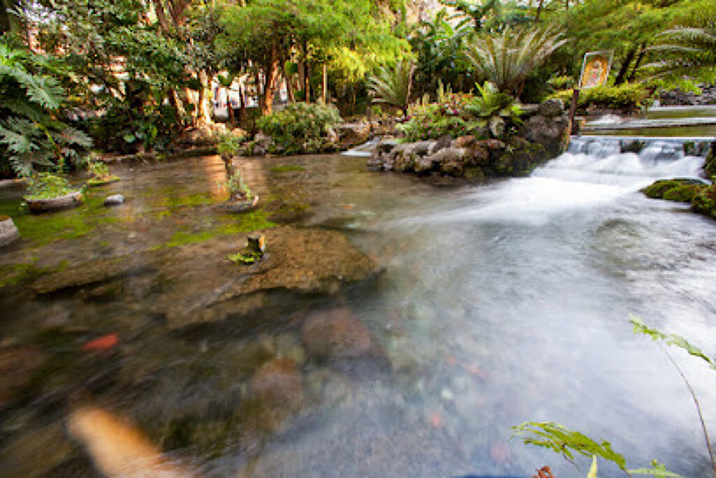 Parque Estatal Urbano Barranca de Chapultepec-0