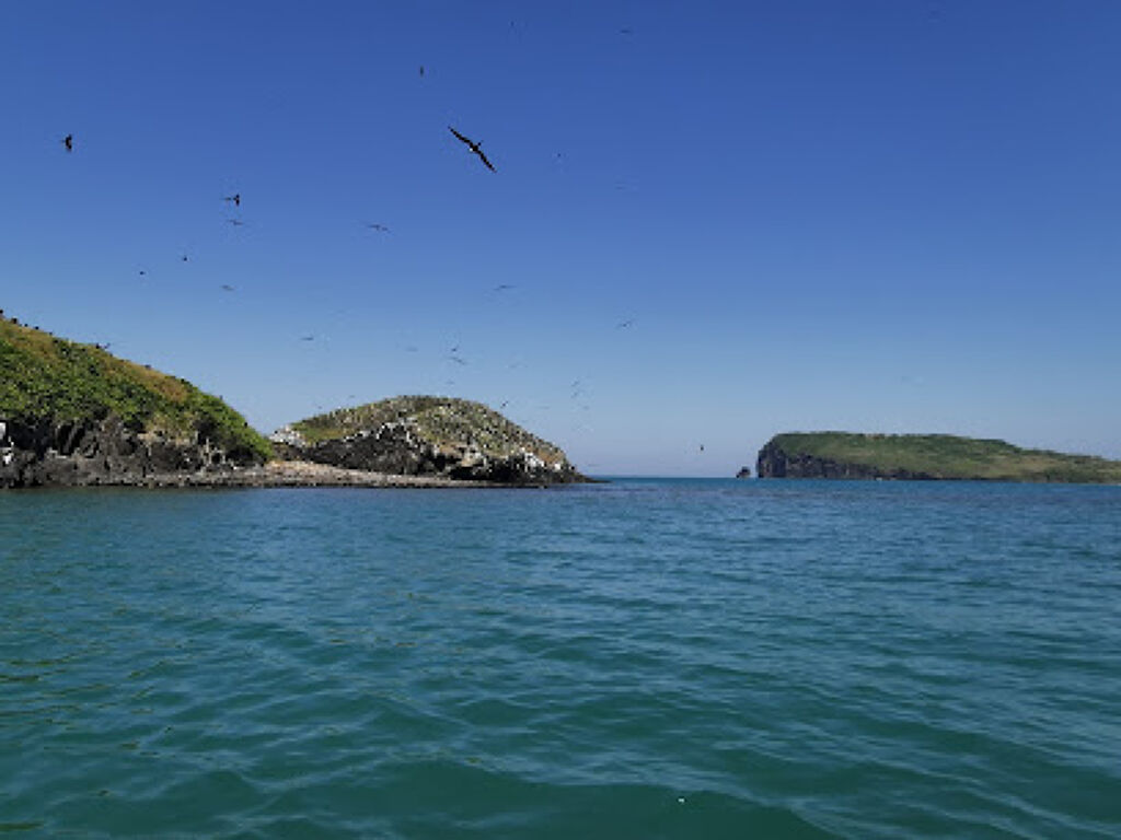 Isla del Terrón-1