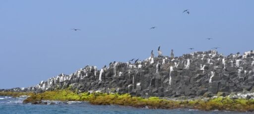 Isla del Terrón-0