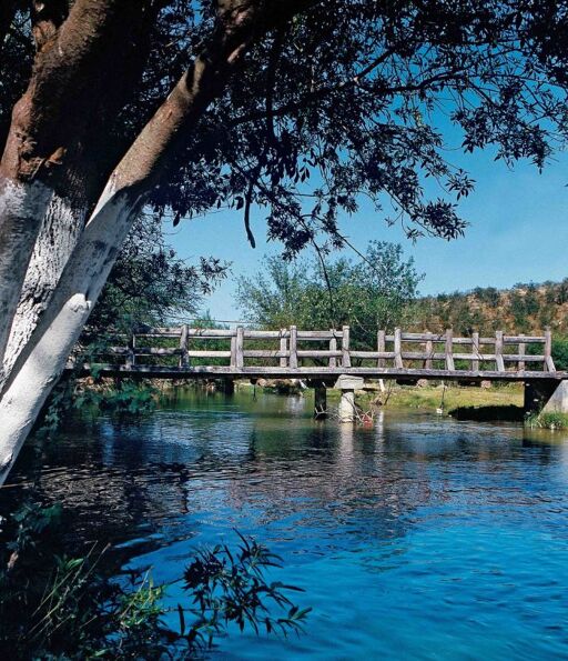 Pasea por los alrededores de los ríos Bravo, Álamo y San Juan-0