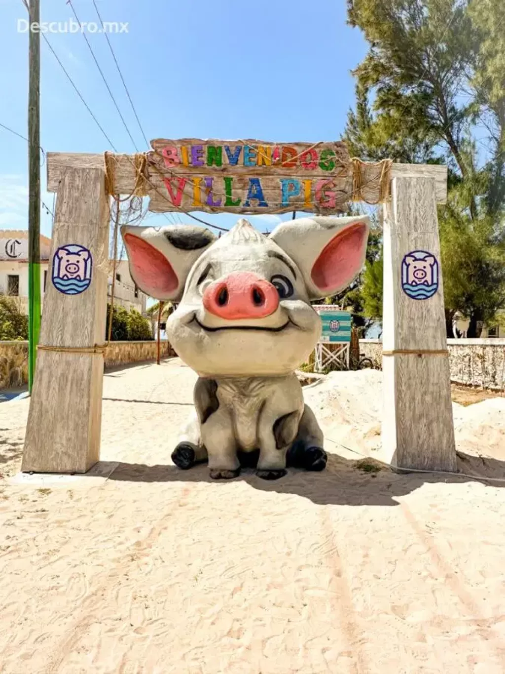 Pig Beach Progreso-1