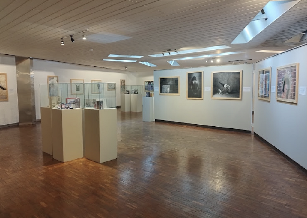 Pinacoteca de Centro de Difusión Cultural Raúl Gamboa-0