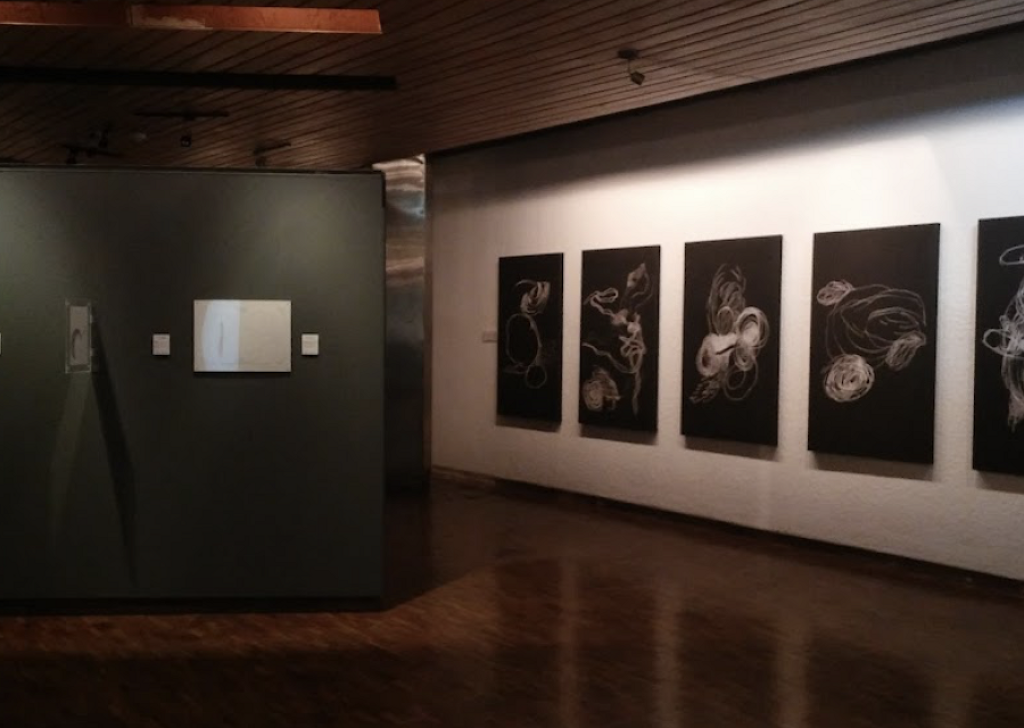 Pinacoteca de Centro de Difusión Cultural Raúl Gamboa-2