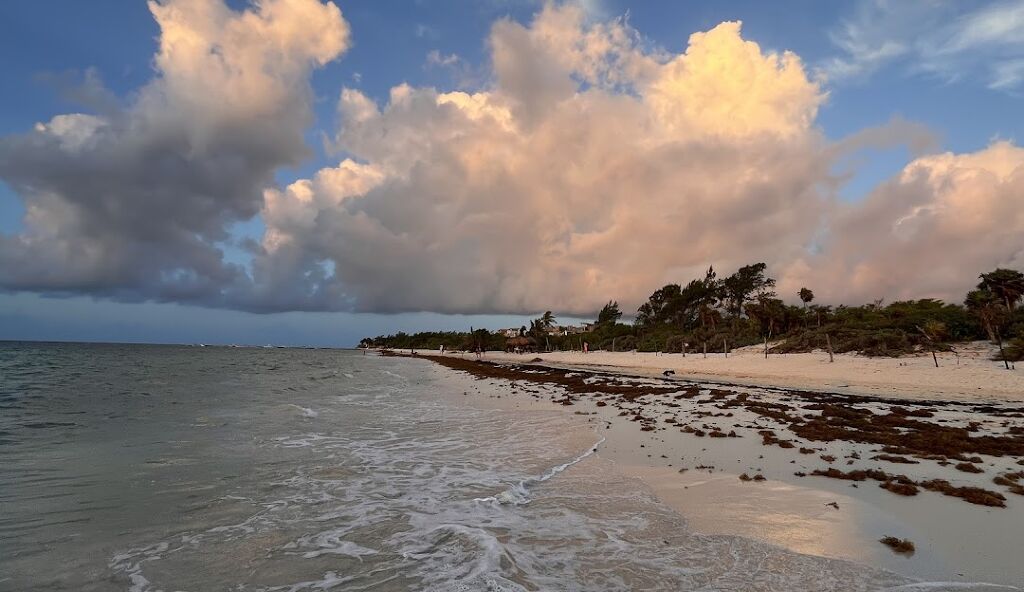 Playa 72-1