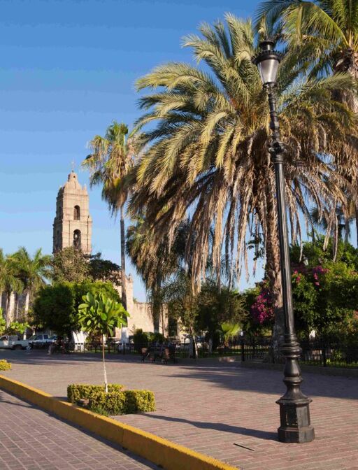 Plaza Miguel Hidalgo-0