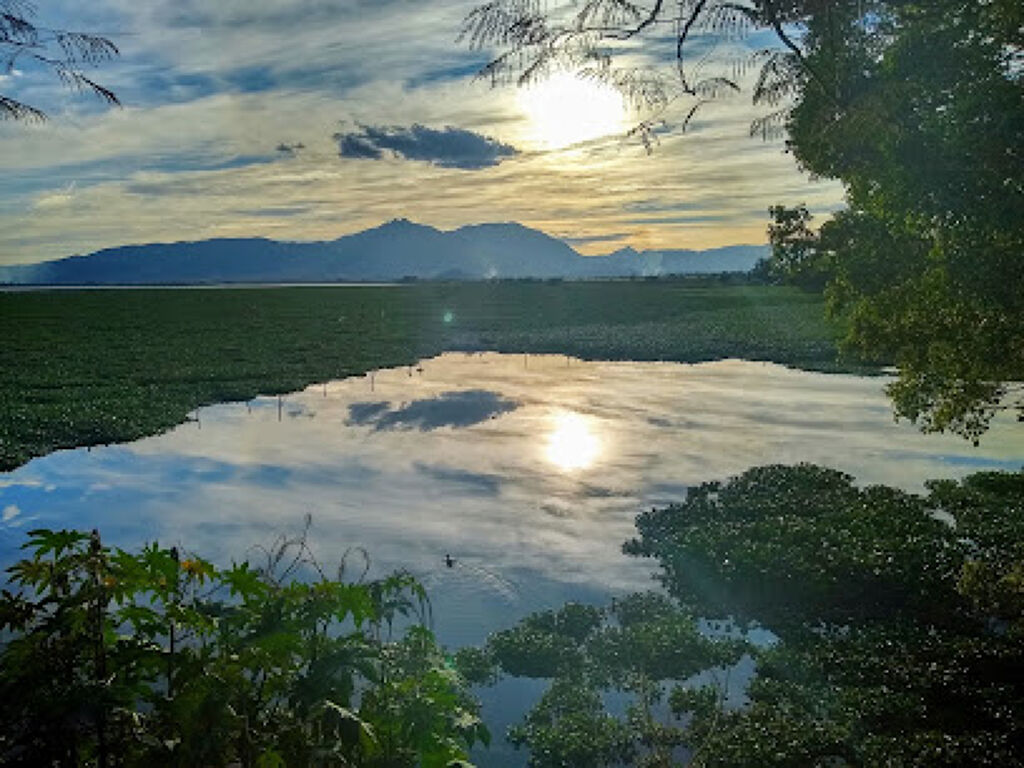 Presa de la Vega-0