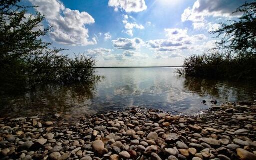 Presa Los Mimbres-2