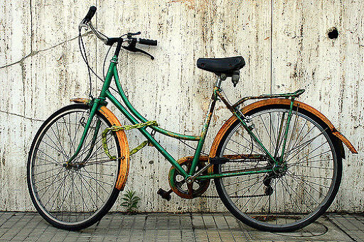 Recorre en bici Álamos-0