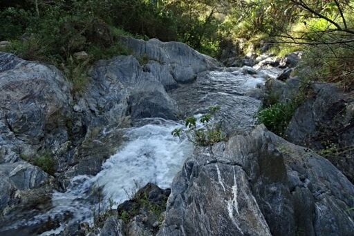 Río Olla-0