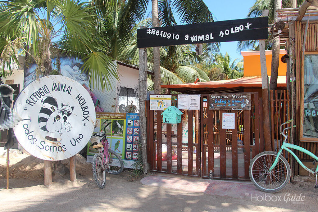 Refugio Animal Holbox-0