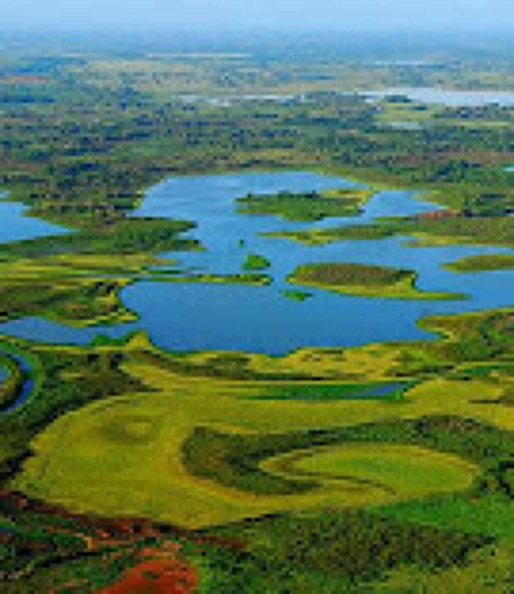 Reserva de la Biosfera Pantanos de Centla-2