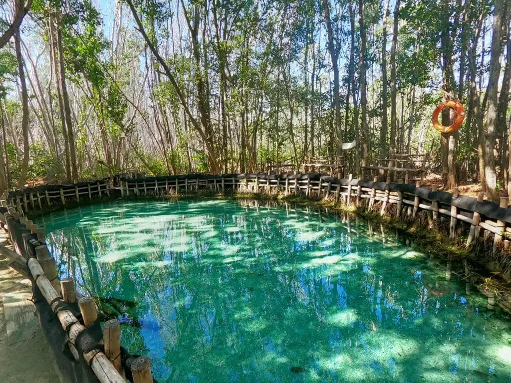 Reserva Ecológica Corchitos-1