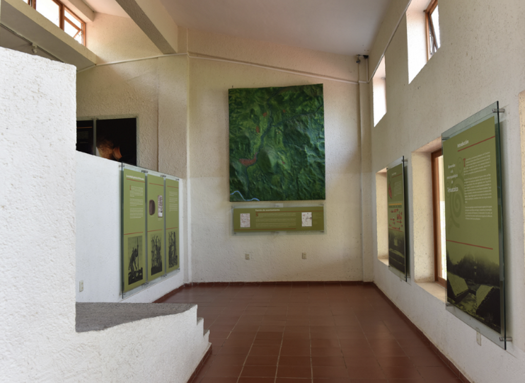 Sala Introductoria de Tehuacalco-1