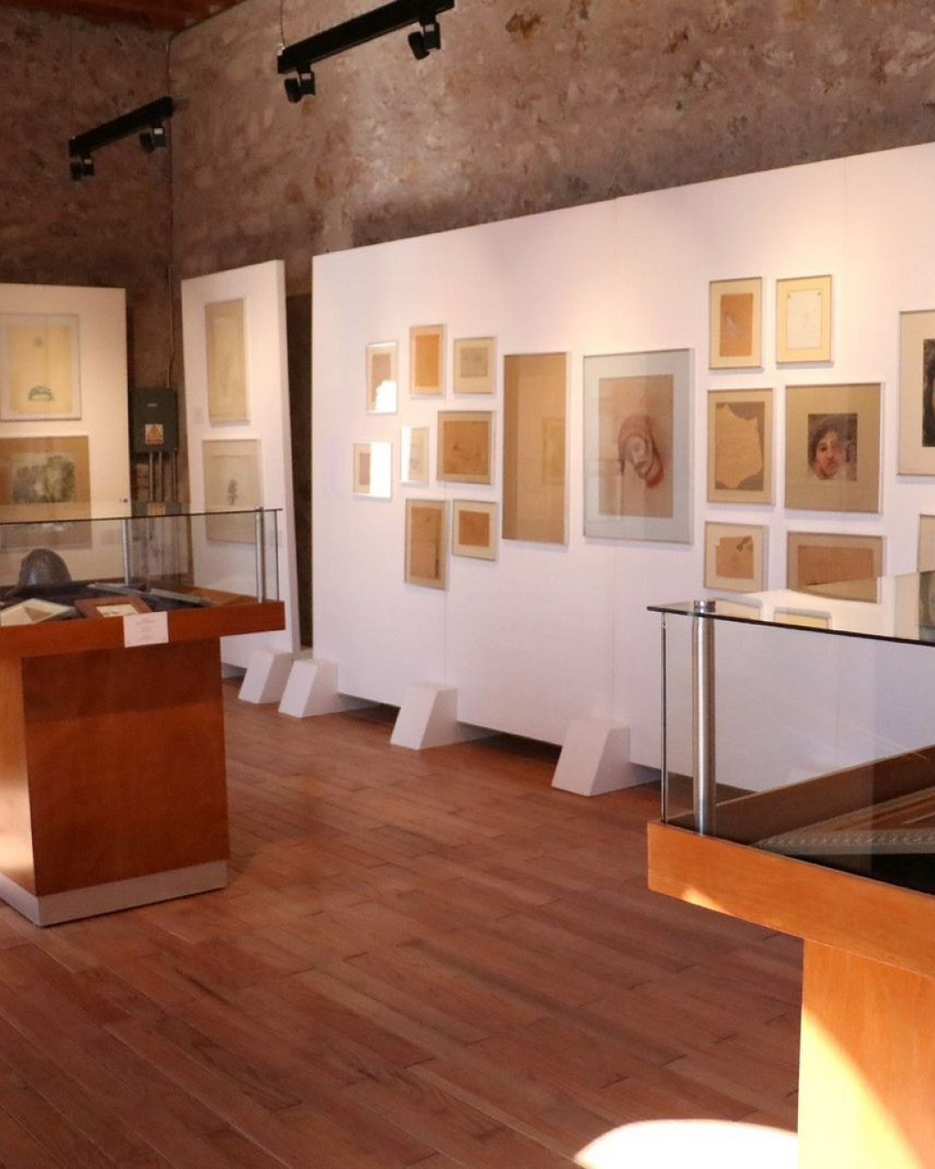 Sala Museo Francisco Goitia-0
