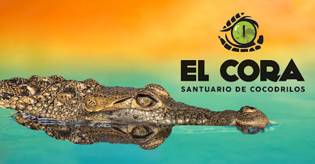 Santuario de Cocodrilos El Cora-1