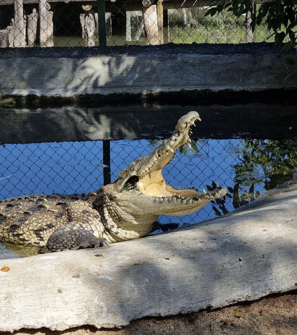 Santuario de Cocodrilos El Cora-2