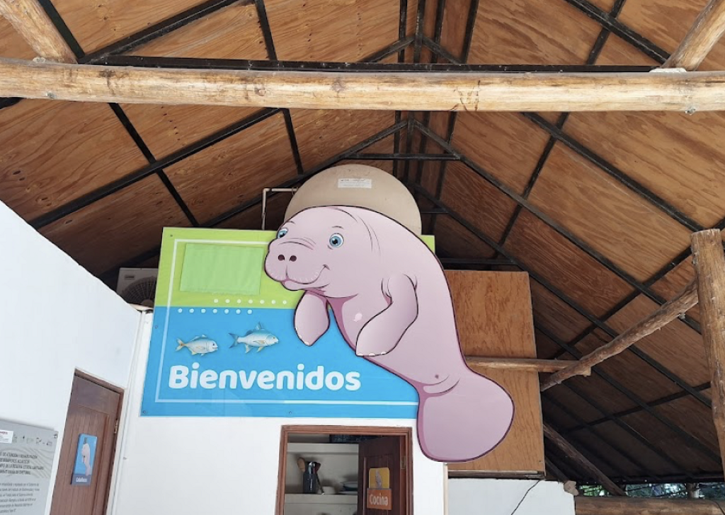 Santuario del Manatí-2