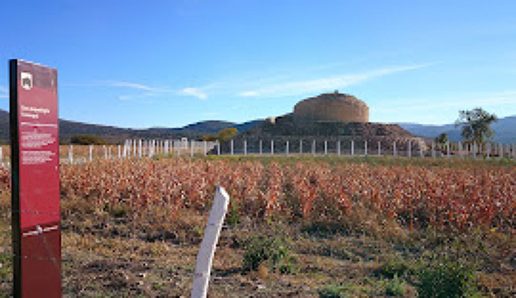 Zona Arqueológica Tammapul-0