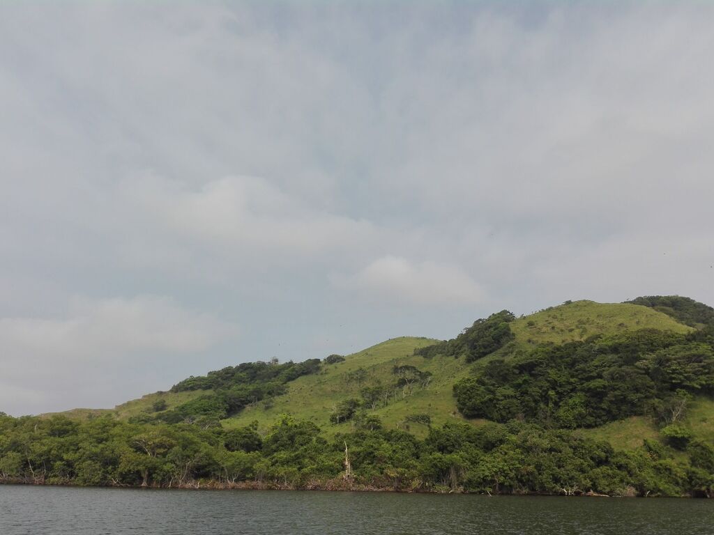 Laguna de Sontecomapan-2