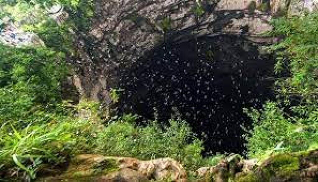 Sótano de las Huahuas-0