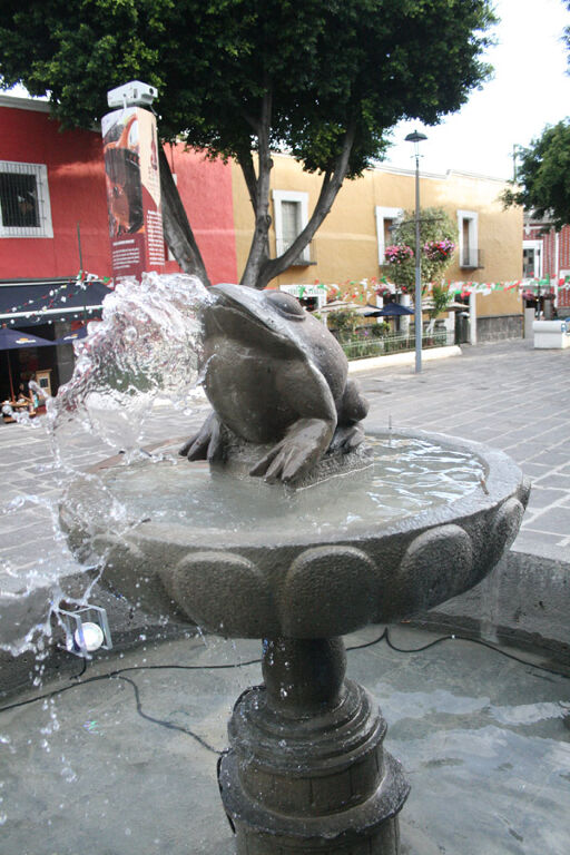 Tianguis del Callejón de los Sapos-0
