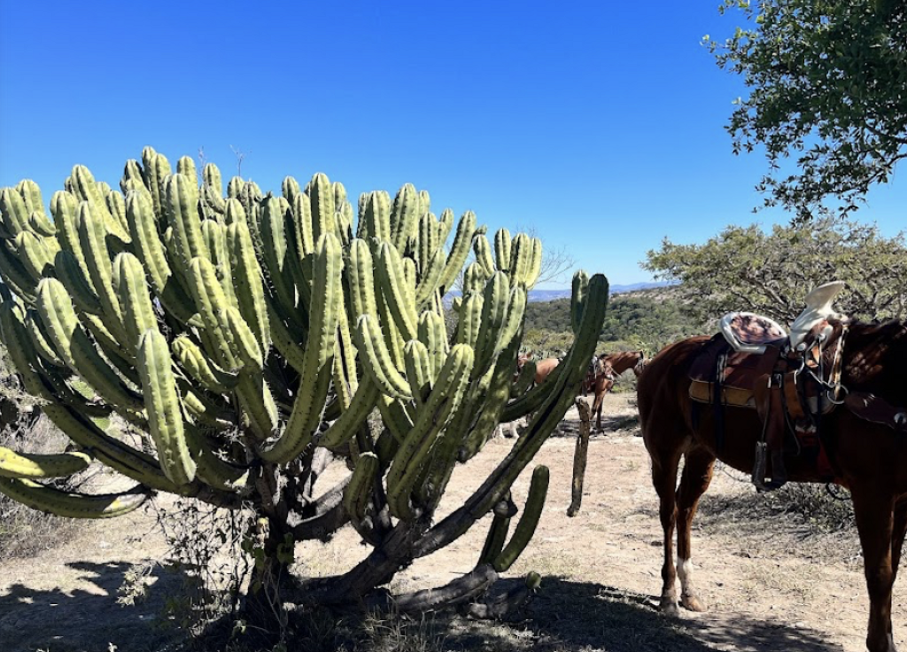 Coyote Canyon Adventures-2