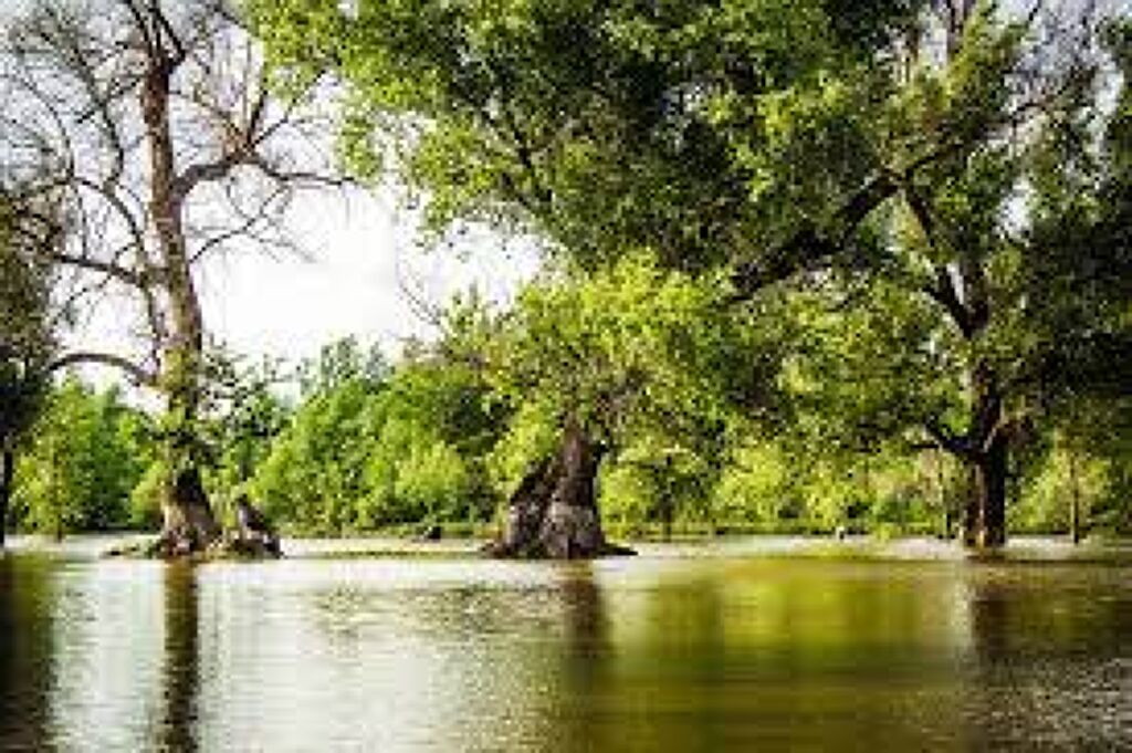  Río Mayo-0
