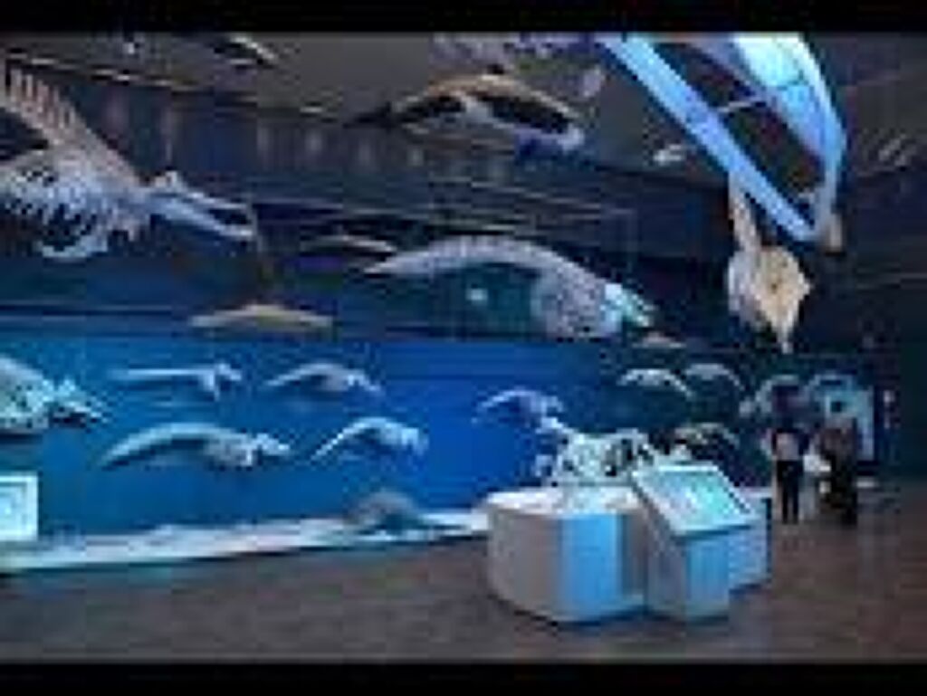 Universum-2