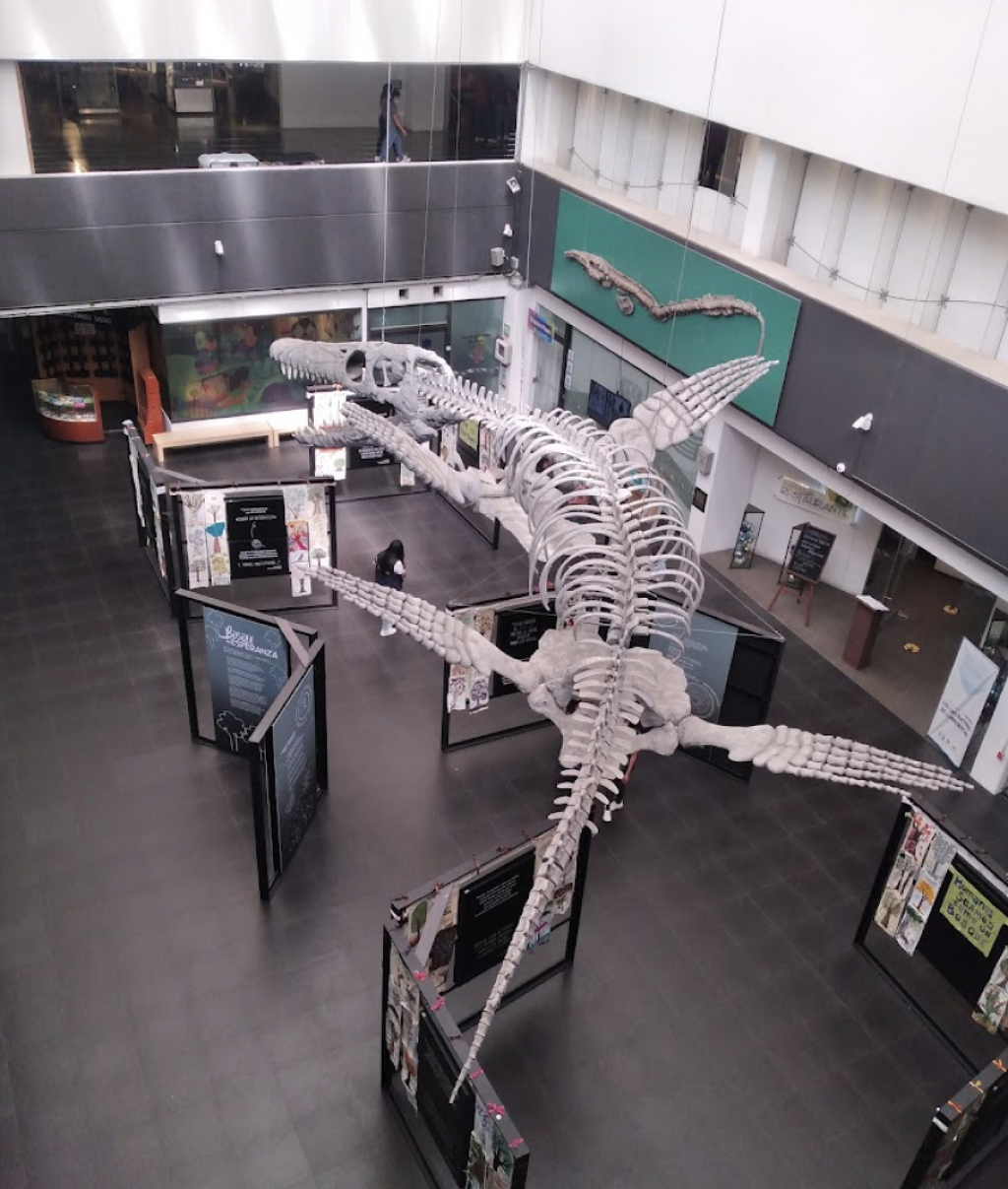Universum Museo de las Ciencias-1