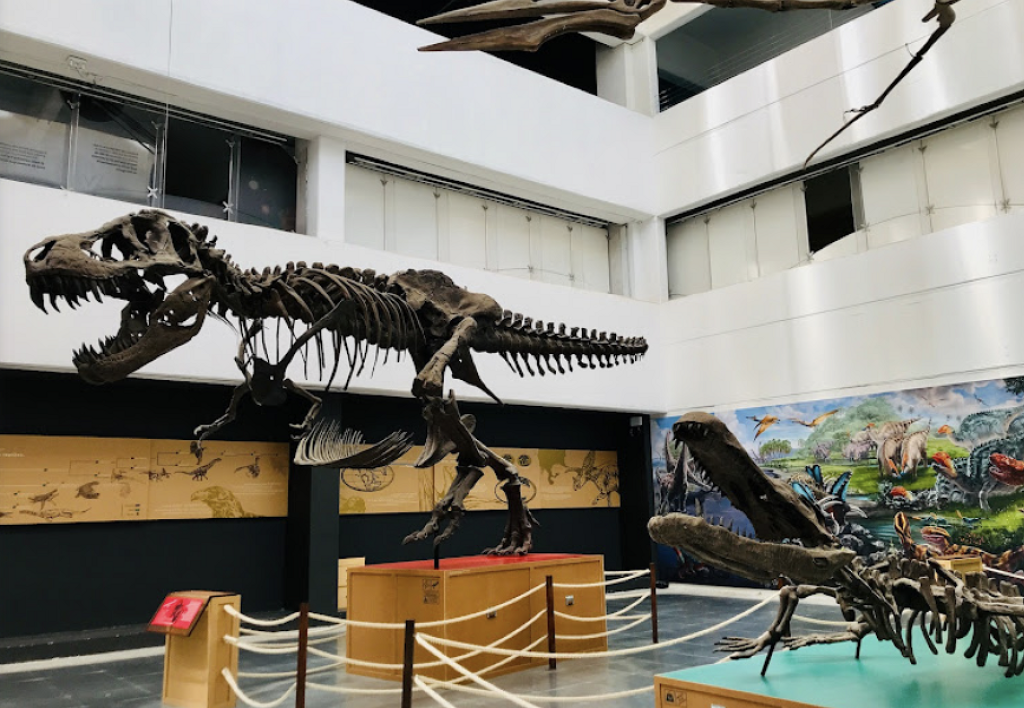Universum Museo de las Ciencias-2